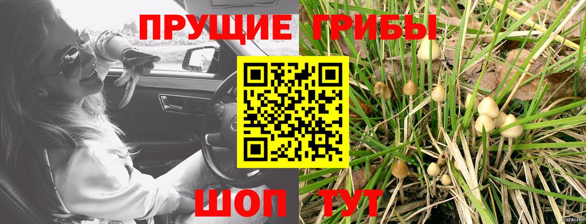 Кировск  Галлюциногенные грибы мухоморы  Вход с VPN 