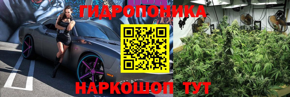МАРИХУАНА ГИДРОПОН Кировск